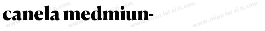 canela medmiun字体转换